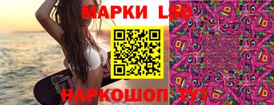 соль курить ск Гатчина